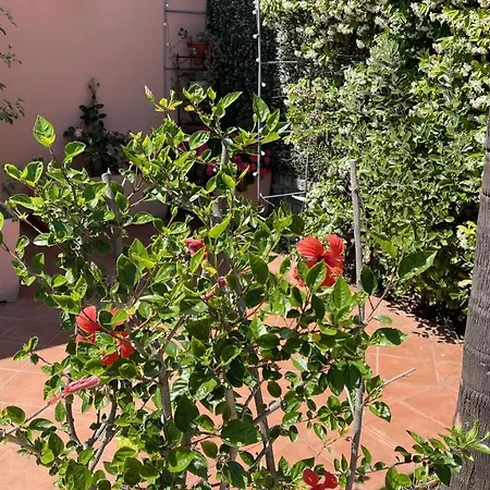 Apartment Villino Indipendente Con Vista Mare In Locazione Ad Ospedaletti Imperia